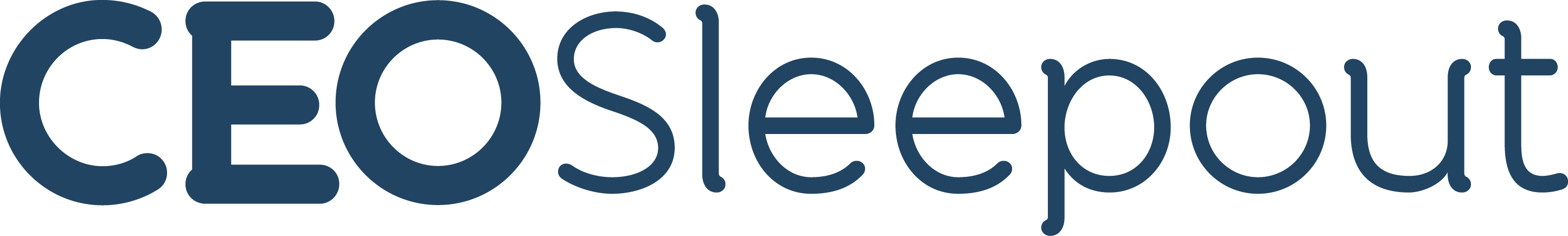 CEO Sleepout